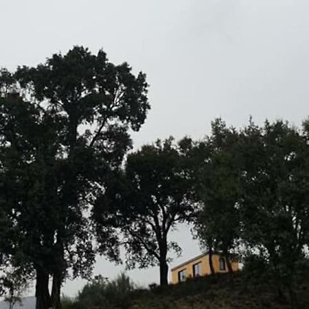 Refugio Do Sobreiro Villa Cabeceiras de Basto Exteriör bild